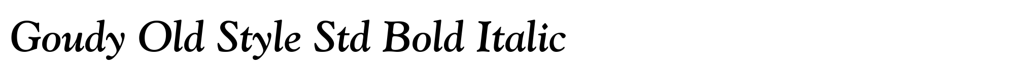 Goudy Old Style Std Bold Italic image